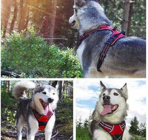 Dog Reflective Harness - Furwell Co™