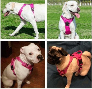 Dog Reflective Harness - Furwell Co™