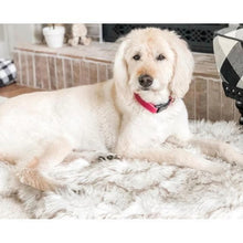 Load image into Gallery viewer, Furwell™ Orthopedic Pet Rug - Furwell Co™