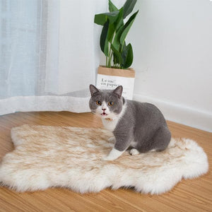 Furwell™ Orthopedic Pet Rug - Furwell Co™