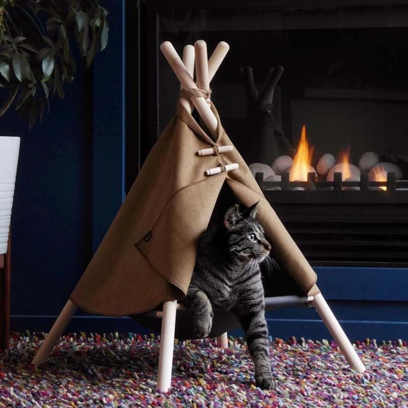 Adventure tent cat online