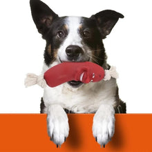 Load image into Gallery viewer, Dog Molar Tooth Cleaning Toy