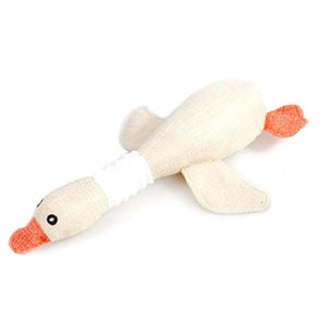 Squeaky Dog Toy