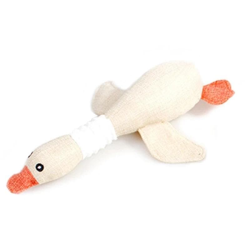 Squeaky Dog Toy