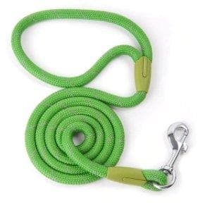 Reflective Nylon Dog Leash - Furwell Co™