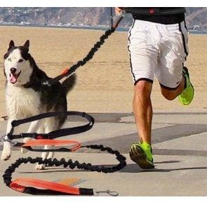 Running Elastic Leash - Furwell Co™