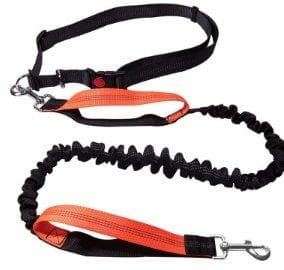 Running Elastic Leash - Furwell Co™