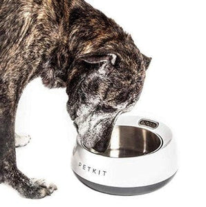 Smart Pet Food Bowl - Furwell Co™